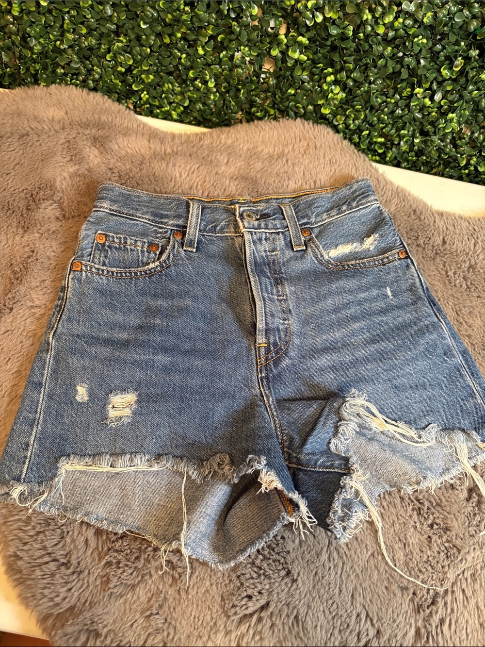 Levi's Premium Distressed Ribcage Jean Shorts Size 25